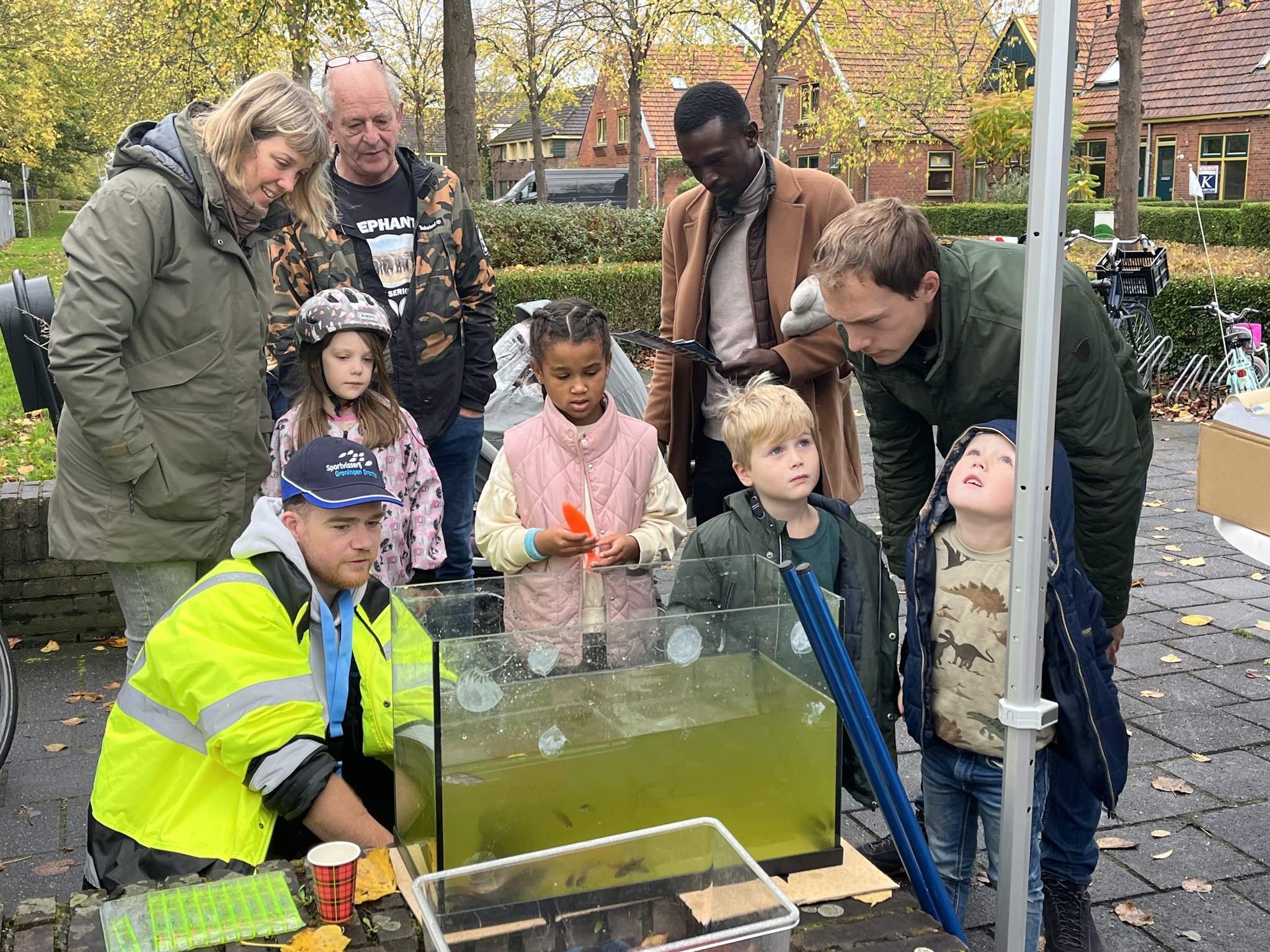 Hoeveel vissen zwemmen er in de Gorechtvijvers?